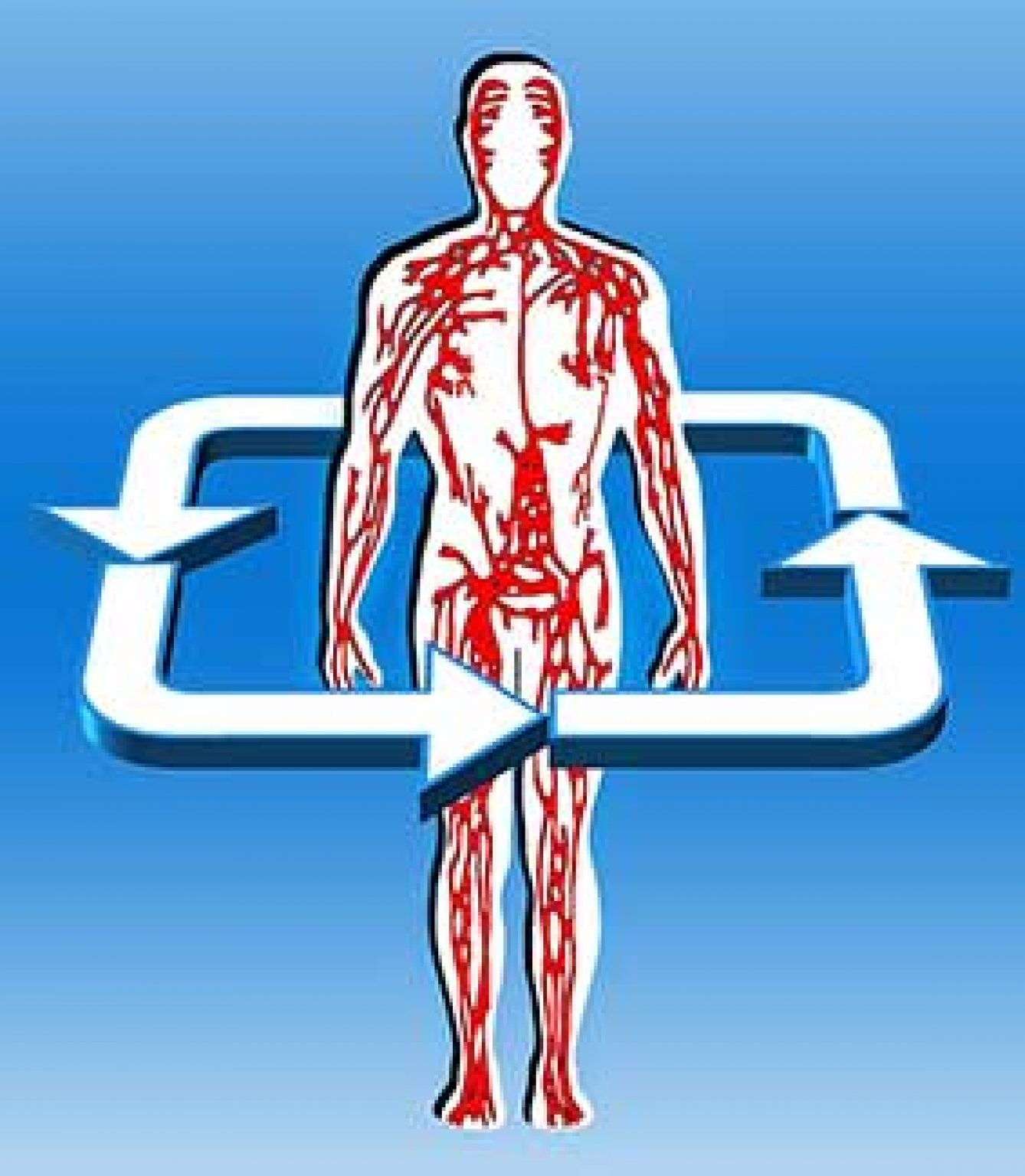 Royal Thai Massage 101 All Things Massage